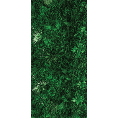 Ambiance-sticker Sticker nature mur végétal appel du vert - Publicité Ambiance-sticker Sticker nature mur végétal appel du vert - Publicité