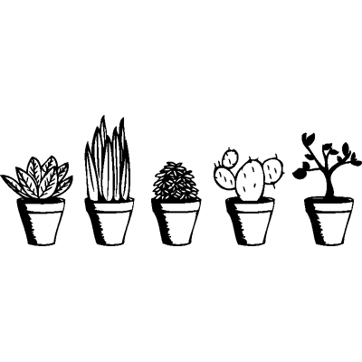 Ambiance-sticker Sticker plantes différentes exotiques - Publicité Ambiance-sticker Sticker plantes différentes exotiques - Publicité
