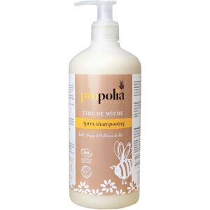 Propolia - Specialistes de la Propolis Apres shampoing bio, Miel, argan et proteines de ble 500ml