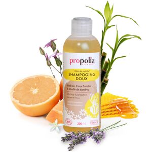 Propolia - Specialistes de la Propolis Shampoing doux BIO : Miel & Bambou