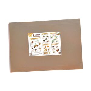 La Ruche des Abeilles® Kit de 5 posters pedagogiques