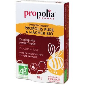 Propolia - Specialistes de la Propolis Propolis pure a macher BIO, plaquette de 10g