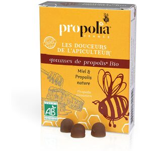 Propolia - Specialistes de la Propolis Presentoir de 24 boîtes de Gommes Miel et Propolis Bio