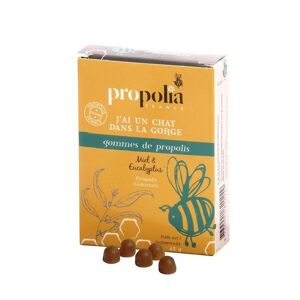 Propolia - Spécialistes de la Propolis Présentoir 24 boîtes de Gommes de Propolis Eucalyptus