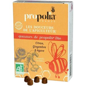 Propolia - Spécialistes de la Propolis Présentoir de 24 boîtes de Gommes de Propolis Bio , Sirop d'agave, gingembre et citron