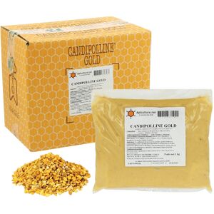 Apiculture.net - Matériel apicole français 12 x Candipolline Gold 1kg