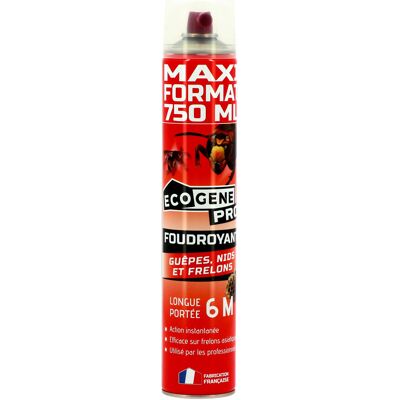 Aérosol longue portée guêpes et frelons Ecogene 6m 750ml - Insecticide en aérosol - Publicité Aérosol longue portée guêpes et frelons Ecogene 6m 750ml - Insecticide en aérosol - Publicité
