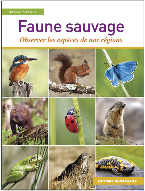 Editions DEBAISIEUX La faune sauvage de nos régions