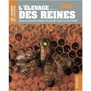 Editions Rustica L'élevage des reines, Gilles Fert - Publicité Editions Rustica L'élevage des reines, Gilles Fert - Publicité