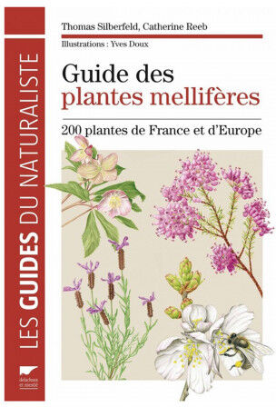 Lubéron Apiculture Guide des plantes mellifères Lubéron Apiculture Guide des plantes mellifères