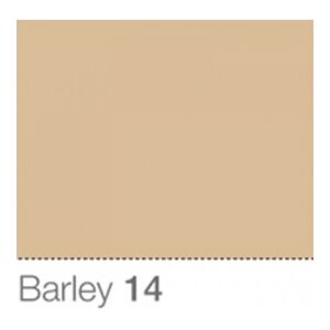 Colorama Fond de Studio 1.35 X 11m Barley