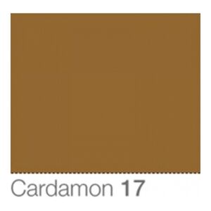 Colorama Fond de Studio 1.35 X 11m Cardamon