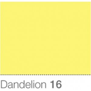 Colorama Fond de Studio 2.72 X 11m Dandelion