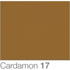 Colorama Fond de Studio 2.72 X 11m Cardamon