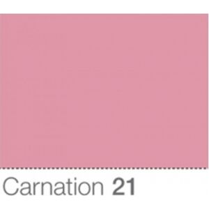 Colorama Fond de Studio 2.72 X 11m Carnation