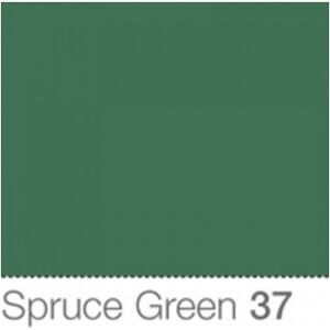 Colorama Fond de Studio 2.72 X 11m Spruce Green