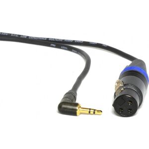 PEPPERCABLE Câble Audio XLR 3 Pin Mâle / Mini Jack 3.5 Femel