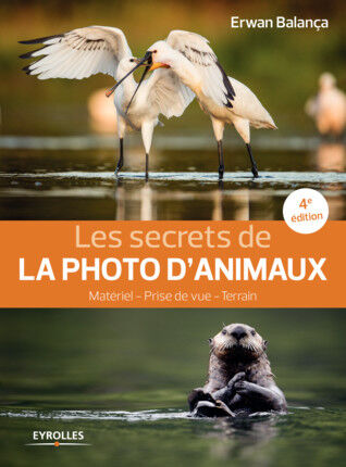 EYROLLES Les Secrets de la Photo d'Animaux 4ème Edition EYROLLES Les Secrets de la Photo d'Animaux 4ème Edition