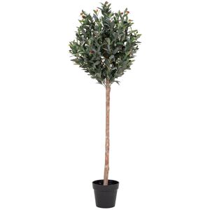 House Nordic Olive Tree - Olivier artificiel H150cm - Couleur - Vert