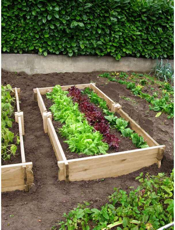 Rectangle potager en bois non traité H 22 cm