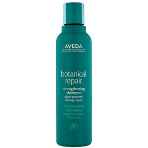 Aveda Botanical Repair a¢ Shampoo