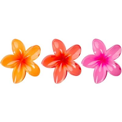 Brushworks Pinces Fleurs Tropicales - Publicité Brushworks Pinces Fleurs Tropicales - Publicité