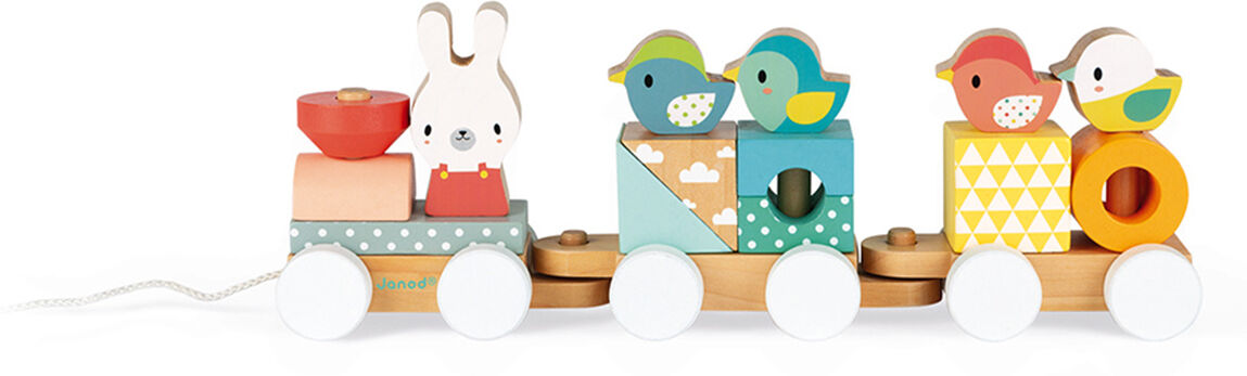 Janod Train Pure Janod Train Pure