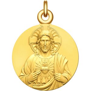 Manufacture Mayaud Medaille bapteme Christ - Vermeil