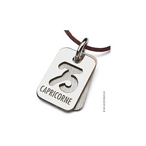 Mikado Pendentif Mikado SIGNS Capricorne