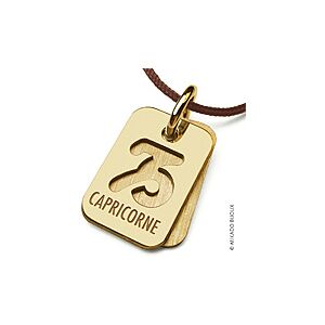 Mikado Pendentif Mikado SIGNS Capricorne