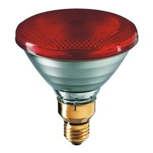 PHILIPS Ampoule infrarouge 100 W