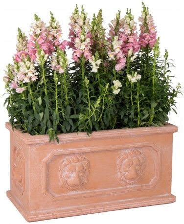 Mega Collections Jardinière en fibre de terre 60x30xH.30cm terracotta