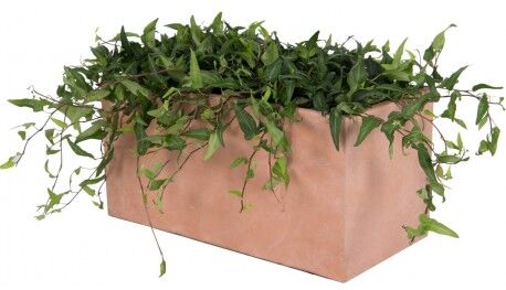 Jardinière en fibre de terre 60x30xH.30cm terracotta Jardinière en fibre de terre 60x30xH.30cm terracotta