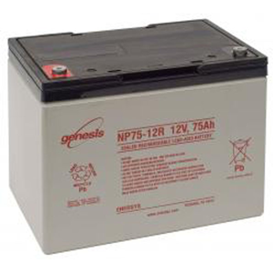 Enersys BATTERIE PLOMB ETANCHE ENERSYS NP55-12 - 12V 55Ah