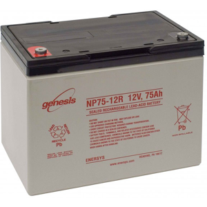 Enersys BATTERIE PLOMB ETANCHE ENERSYS NP75-12 - 12V 75Ah