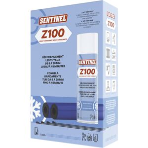 SENTINEL Kit complet spray congelant pour tuyauterie Z100 Sentinel