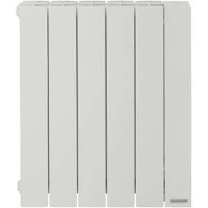 THERMOR Radiateur à fluide caloporteur horizontal Baléares 2 Thermor 1000W