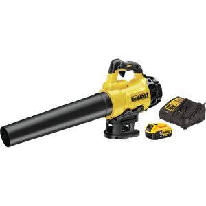 Dewalt Pack souffleur Dewalt DCM562P1-QW 18V Li-Ion 5Ah