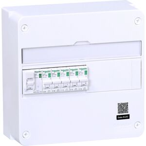 Schneider Electric Tableau pré-équipé peignable Resi9 - TAMC XP Schneider 1 rangée 13m - extension