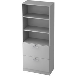 hjh OFFICE PRO SIGNA G 7300 RE - Gris Armoire avec dispositif pour dossiers suspendus (verrouillable) poignée de bastingage plastique