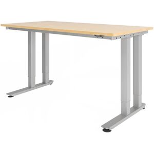 hjh OFFICE PRO RINO 16 S   160x80   Table pour charges lourdes - Érable