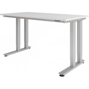 hjh OFFICE PRO RINO 16 S   160x80   Table pour charges lourdes - Gris