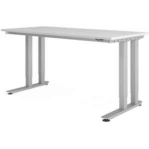 hjh OFFICE PRO RINO 18 S   180x80   Table pour charges lourdes - Gris