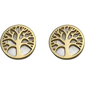 Mon Premier Bijou Boucles daoreilles arbres de vies Puces Or jaune 9ct nacre