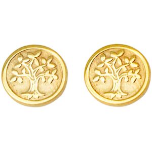 Mon Premier Bijou Boucles d’oreilles arbres de vies - Puces - Or jaune 9ct