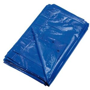 Ribimex Bâche EcoPlatinium opaque 8x12 m 90 g/m2