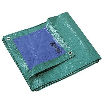 Ribimex Tarp lourd imperméable - 8x12 m - 140 g/m² - Publicité Ribimex Tarp lourd imperméable - 8x12 m - 140 g/m² - Publicité