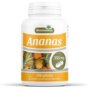 Renaissance Bio Ananas tige 355 mg 200 gelules