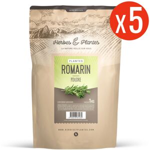 123gelules Romarin - 5 kg de poudre