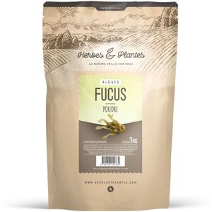 Herbes et Plantes Algue Fucus - Poudre